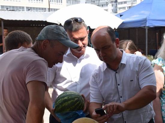 В Волгограде активисты «Народного контроля» обнаружили на рынке арбузы с нитратами