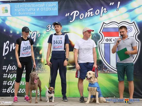 В Волгограде прошел «Пушистый забег»"Пушистый забег" акция "благотворительная акция" цпкио