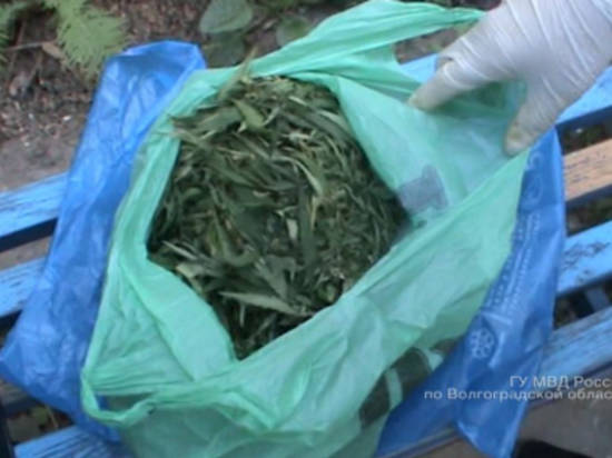 В Камышине полицейские обнаружили пакет с марихуаной у  водителя легковушки