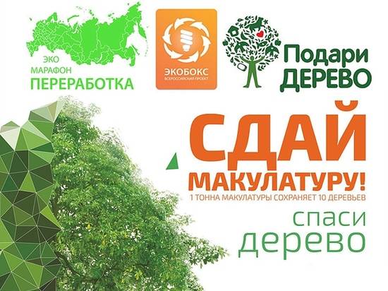 "Сдай макулатуру - спасти дерево": волгоградцы примут участие в эко-марафоне