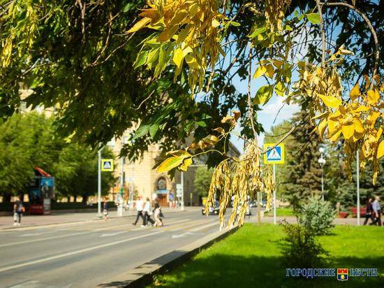 В Волгограде погода продолжает благоволить празднованию Дня города