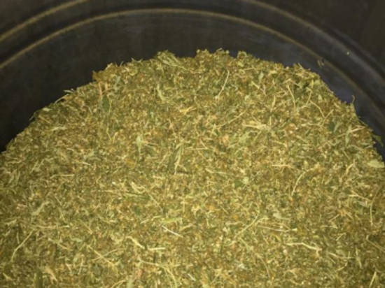 Больше 50 кг марихуаны нашли у двух жителей Среднеахтубинского района