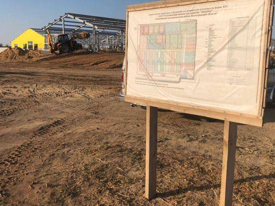 Флагманский проект АПК: Андрей Бочаров проинспектировал строительство животноводческого комплекса