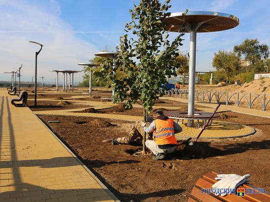 В новом сквере у «Гасителя» появятся спортплощадка, велопарковка и питьевые фонтаны