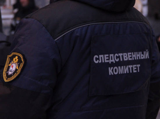 Петербургская школьница, которую искали в Волгограде, вернулась домой через 9 месяцев