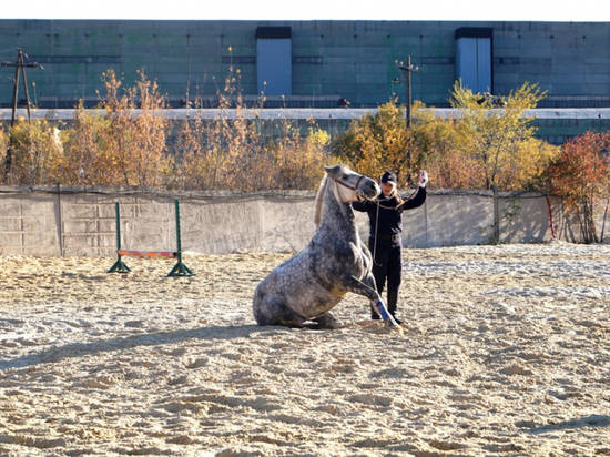 В Волгограде торжественно открыли Центр кинологической службы и кавалерийского взвода