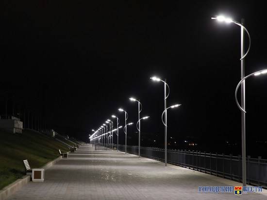 «Городские вести» выяснили, где в Волгограде прохожие перестанут завидовать кошкам