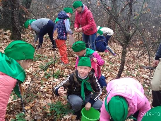 В Волгоградской области за один день собрали почти 2 тонны семян лесных растений