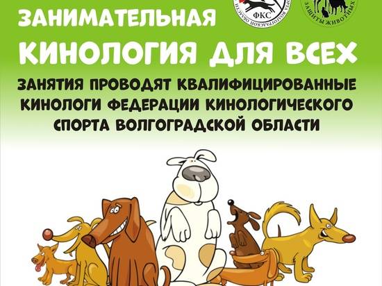 Волгоградцев приглашают на урок кинологии