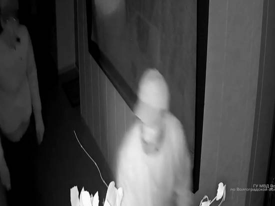 В Волжском разыскивают двух воришек, обокравших административное здание