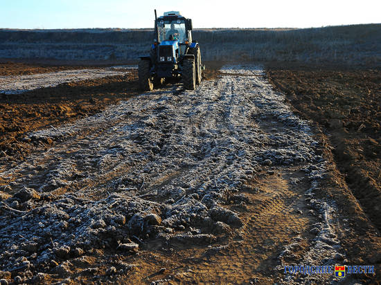 Андрей Бочаров: «Дубовые рощи возродятся в Волго-Ахтубинской пойме»