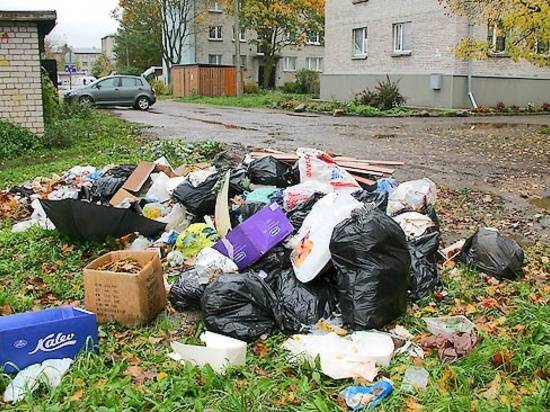 Регионального мусорного оператора оштрафовали за плохую работу в Краснослободске