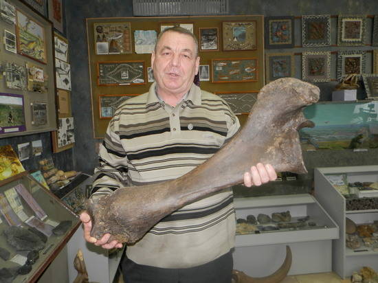 Палеонтолог передаст краеведческому музею Волгограда орудия каменного века