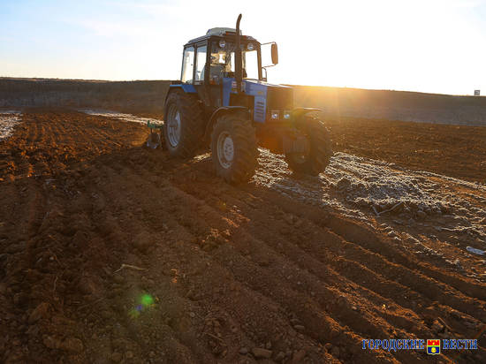 В Волгоградском регионе наращивают объемы производства сельхозпродукции