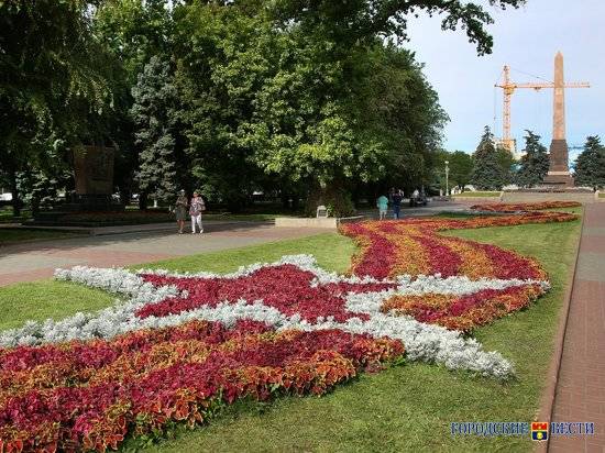 На Аллее Героев в Волгограде омолодят Сталинградский тополь