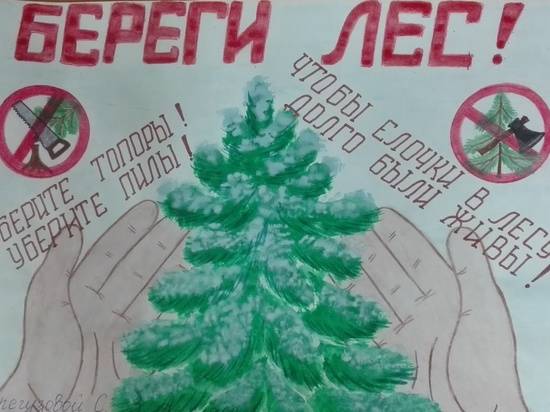 Волгоградские школьники нарисуют листовки в защиту хвойных лесов