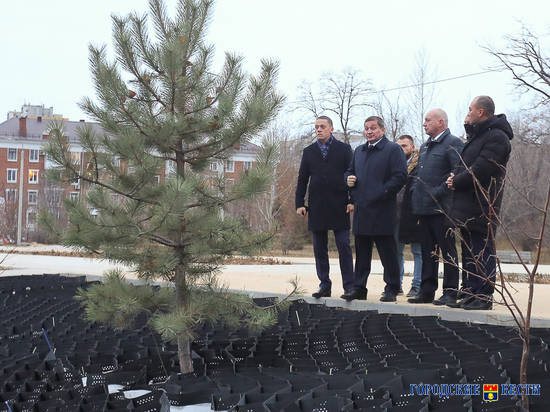 Андрей Бочаров назвал приоритетом реконструкцию парка Гагарина