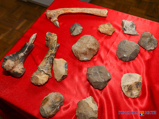 В Волгоградском областном краеведческом музее обновилась археологическая коллекция