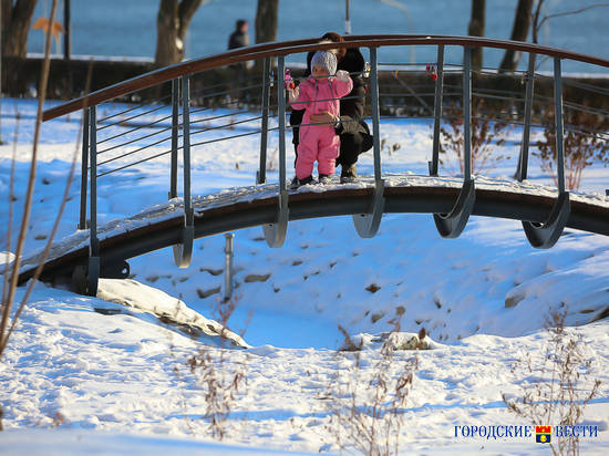 «Посмотри и скажи, что видишь»: предсказания о «белом апокалипсисе» в Волгограде не сбылись