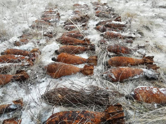 В Волгоградской области саперы за год уничтожили около 3000 снарядов