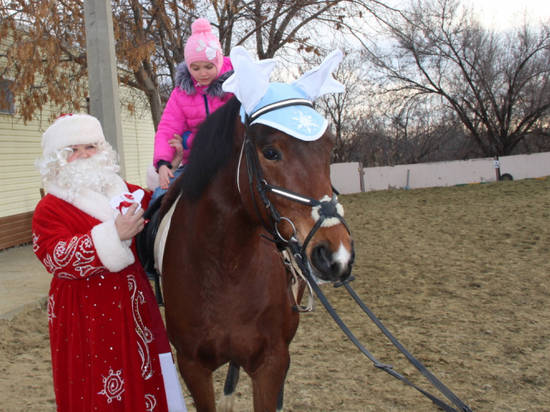 К камышинским детям Дед Мороз и Снегурочка прискакали на лошадях