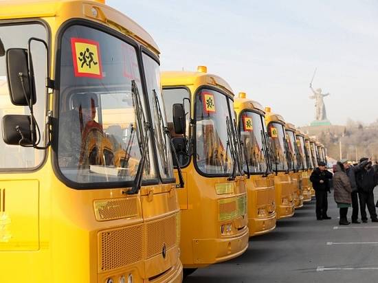 Школьные автобусы различной вместимости направили в школы Волгоградской области
