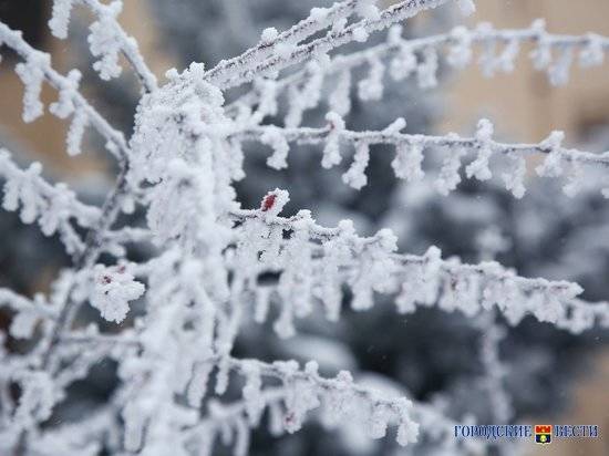 В Волгограде ожидается небольшой снег