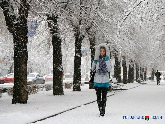 Волгоградцам обещают снежные выходныепогода снег "прогноз погоды"
