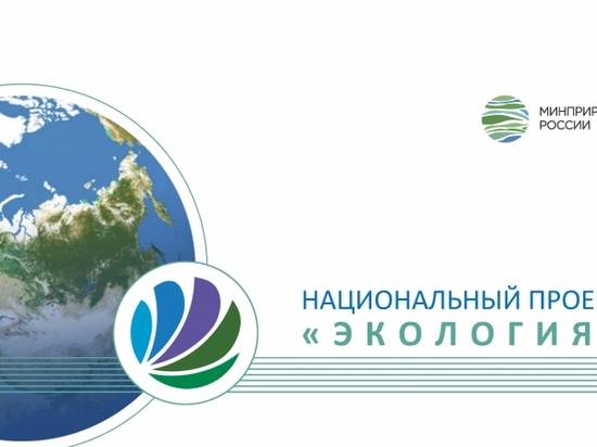 Волгоградская область получила высокую оценку в решении экологических проблем и повышении качества жизни людей