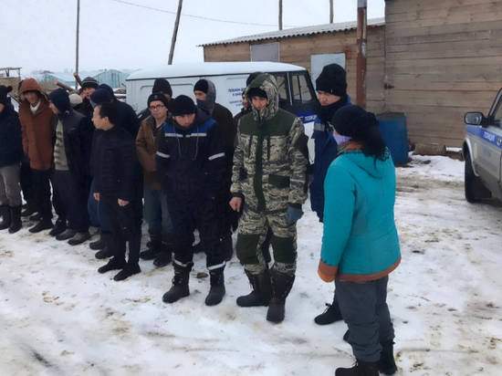 Полицейские обнаружили в теплице под Иловлей 37 мигрантов