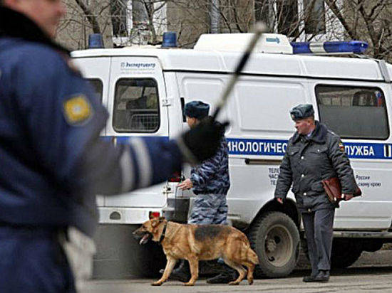 В Камышине передали в суд дело о пьяном телефонном террористе