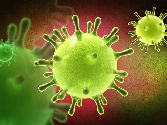 Стало известно о первых двух случаях заражения коронавирусом в России