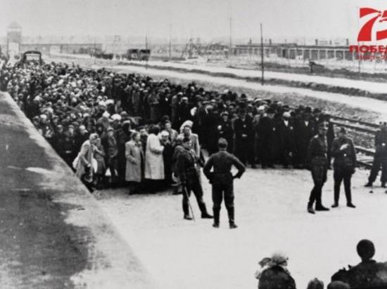 Волгоградцам расскажут о концлагере «Аушвиц»