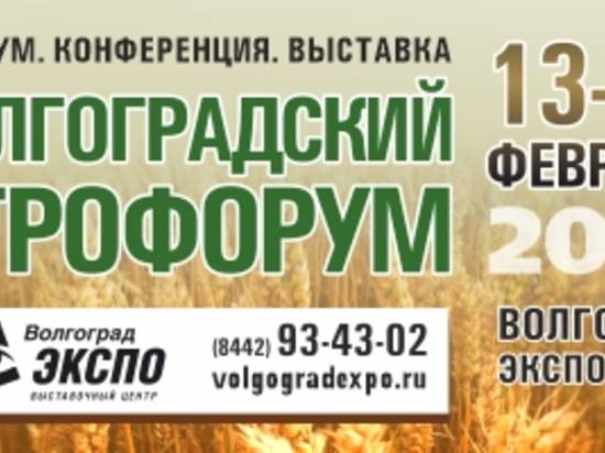 На «Волгоградском агрофоруме-2020» представлены новинки сельхозтоваропроизводителей