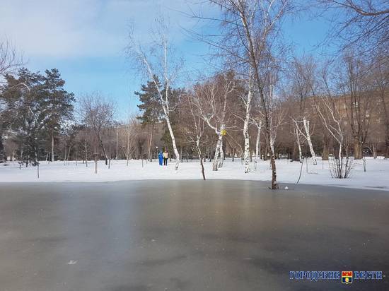 Рабочая неделя в Волгограде начнется с потепления