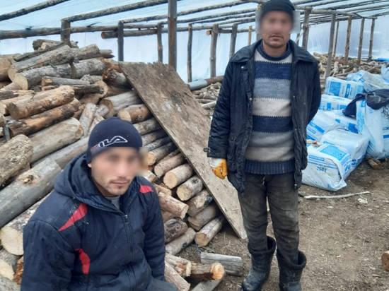 В Волгоградской области выявили 28 незаконных мигрантов