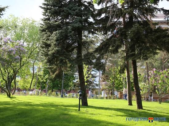 На севере Волгограда новую зону отдыха будут освещать поющие фонари-музыканты