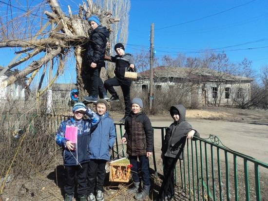 В Волгоградской области дети подарили птицам съедобные кормушки
