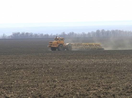 На полях Волгоградской области стартовали весенне-полевые работы