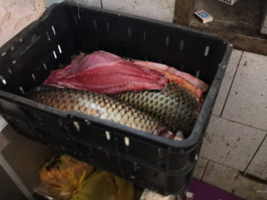На волгоградском рынке изъяли более тонны «левой» рыбной продукции