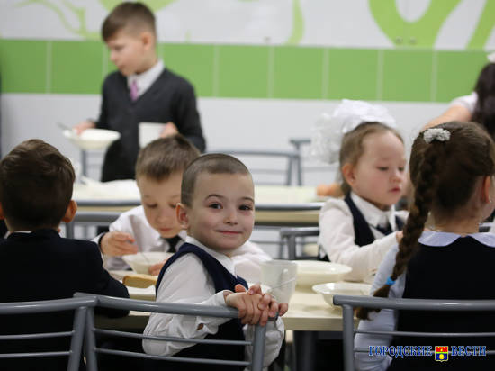 Родителей волгоградских школьников опрашивают о возможности дистанционного обучения детей
