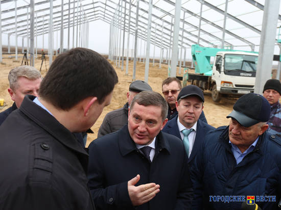 Андрей Бочаров проведет встречу с советом по АПК по вопросу развития сельского хозяйства