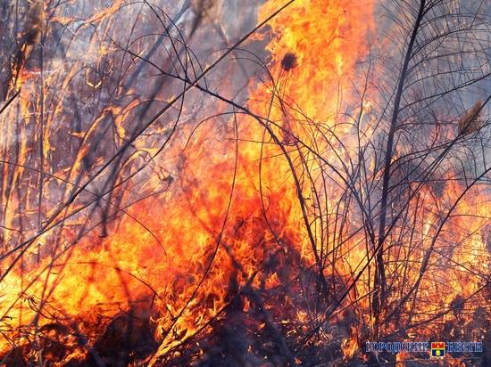 За сутки в Волгоградской области произошли 95 пожаров: пострадал один человек