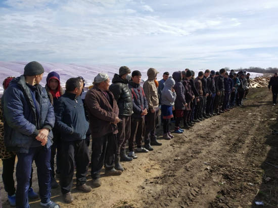 32 незаконных мигрантов выявили в теплицах под Волгоградом