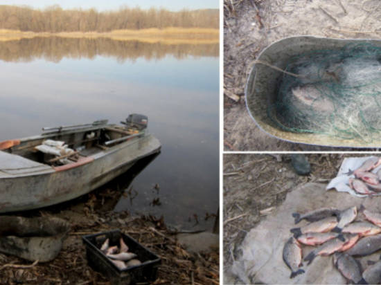 Волгоградские полицейские задержали трех браконьеров с уловом