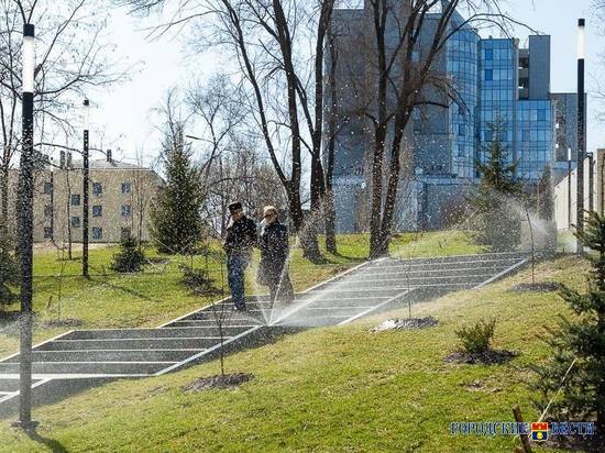 Тёплая пятница и жаркие выходные ждут Волгоград: воздух прогреется до рекордных +19