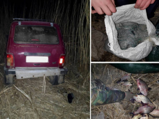 Еще трех браконьеров задержали в разных районах Волгоградской области