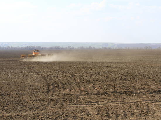 На полях Волгоградской области посеяли уже 50 тысяч гектаров яровых культур