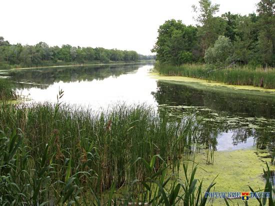 Природные парки Волгоградской области в условиях карантина усиливают защитные меры