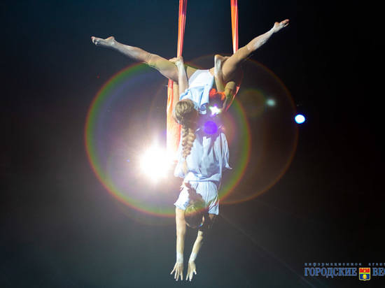 Волгоградский цирк получит миллиард рублей на реконструкцию